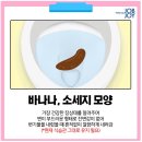 [건강] 인스타 광고로 만난 인생템, 과민성대장증후군 ㅃㅇ, 비피젠 유산균 후기