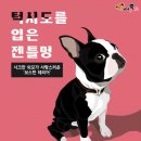 젠틀멍 이미지