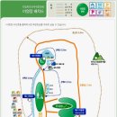 희리산자연휴양림야영장 네이버블로그