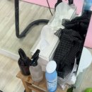 분도메디컬 | 메디컬필라테스 마마 마포공덕점 후기!!