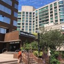 웨슬리어학원 | [토론토어학원] 캐나다 밴쿠버/토론토 ILAC 어학원