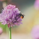 참살이한식뷔페 이미지