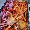 성진환경 | 속초시맛집, 신선함이 가득한 대포동횟집 ‘성진활어’ 소개