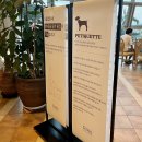 선산 노래연습장 | 소노캄 거제(구 대명리조트) 부대시설 반려동물 출입, 산책코스 해변 산책로 등 총정리