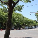 화가이인성기념비 이미지