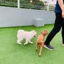 수바오스토리