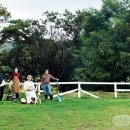 금이목장 이미지