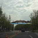 대한보청기판매(주)대전지사 | [과천 가볼만한곳] 주말 이색 데이트, 렛츠런파크 서울 무료입장꿀팁/주차/배팅방법 총정리