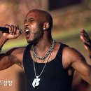 DMX 스포츠경향