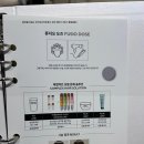 신미정아마르