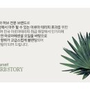 림아로마