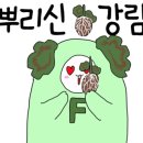 꽃님네 이미지