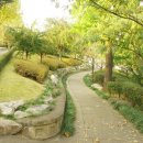 계명대학교 대명캠퍼스 이미지