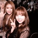 더포토 이미지