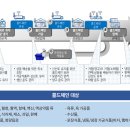 레인보우미트