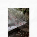 아이폰 스냅 계약 후기 “스냅스케치” | 더컨벤션 영등포 (+짝꿍코드 공유)