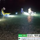 동창원낚시 네이버블로그
