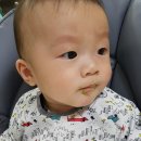 귀리쿡 이미지
