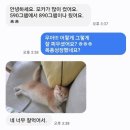 경기안양의료복지 | 경기도광주 고양이분양(안양,동탄,화성,향남,기흥.수지)리얼후기 입니다