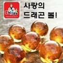 열정태권도 이미지