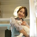 고양이속눈썹