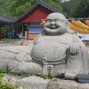 미르부동산공인중개사사무소 이미지