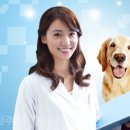 생생동물병원 이미지