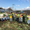 보령희망나눔봉사센터 이미지