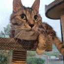 아이조아요양보호소 동탄점 이미지