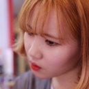 머리,하리