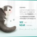 개포동물병원 이미지