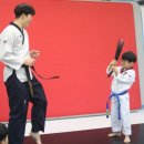 BOK 태권도 이미지