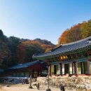 (주)원주서비스 이미지