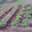 선유농장 이미지