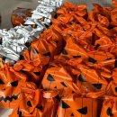 바른선태권도 이미지