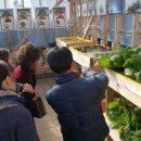 전주동초등학교 이미지