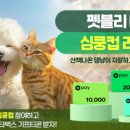 펫블리 이미지