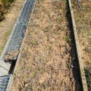 뽑아봐유 이미지