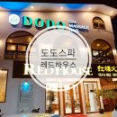 도도하우스 | 도도스파 보홀 맛집 추천 레드하우스 픽드랍 예약 가격 내돈내산 후기