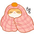 탑출장세차평택