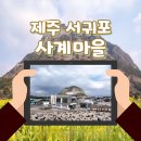 사계어촌체험휴양마을 | 가족 힐링 여행지 제주 서귀포 사계마을 어촌 안심마을 추천드려요.