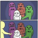 카튠 이미지