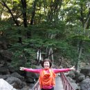 드림디포충주점 이미지