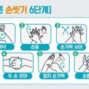 코로나
