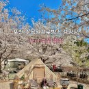 11650-17-22-10 | [공지] 포천 수목원프로방스 캠핑장 벚꽃 (명당추천, 연자방아3, 예약, 솔직후기)
