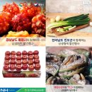 멍케팅