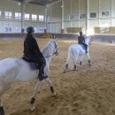 세계승마클럽 이미지