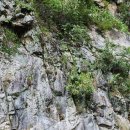 도마치로 이미지