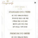 시노그라피스튜디오 이미지