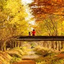 감성 수채화 이미지